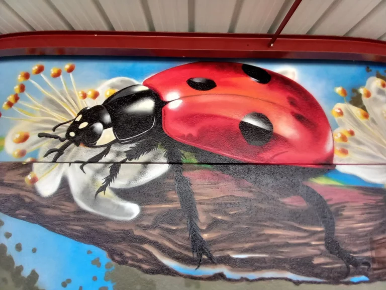 ECOLE-CHAMPAGNE- MOUTON-COCCINELLE-min