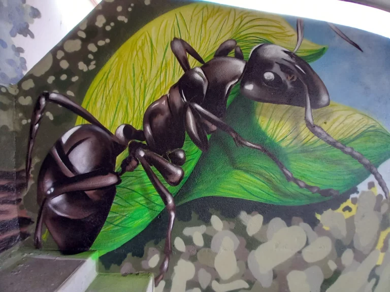 ECOLE-CHAMPAGNE-MOUTON-FOURMI-min