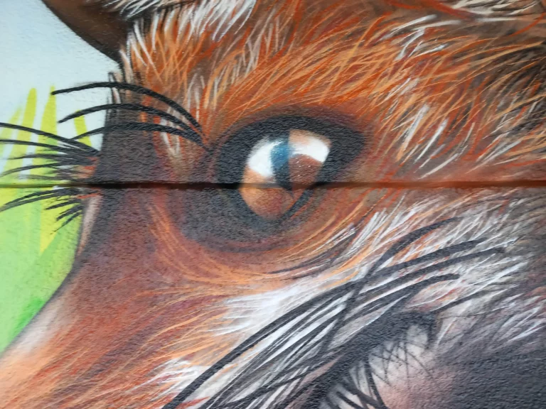 ECOLE-CHAMPAGNE-MOUTON-REGARD-RENARD-min